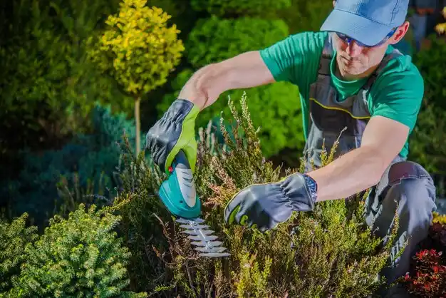 landscaping services Highland Hills